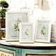 Photo Frame Wood 3.5x5/4x6/5x7
